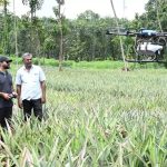 farmer awareness and technology adoption