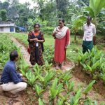 scientific farming support for farmers