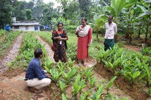 scientific farming support for farmers