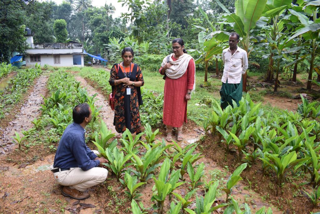 scientific farming support for farmers