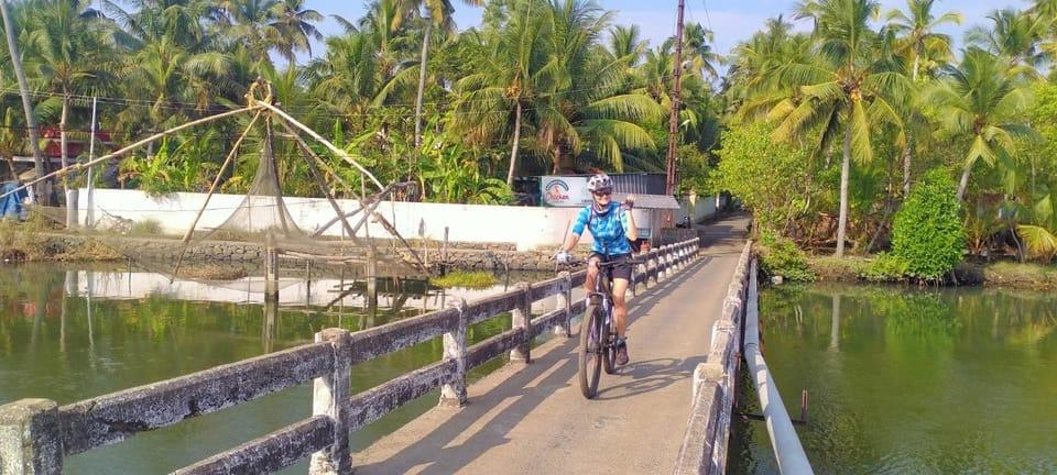 cyclin